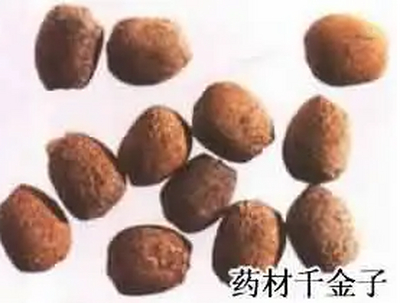 西安千金子甾醇现货供应